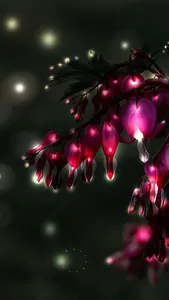 Nature's Treasures
