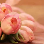 Spring's Renewal Is Amazing With Its Beauty