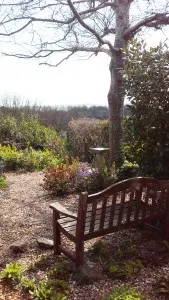 20150411_045134 Bench In Garden