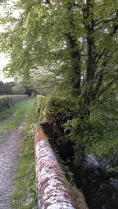 20150510_Time Passage